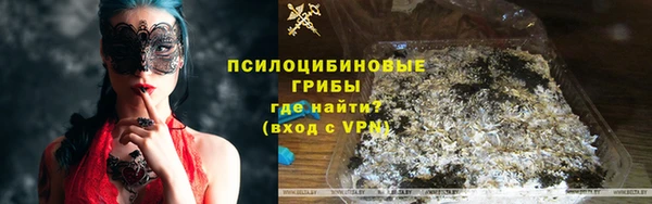 винт Абаза